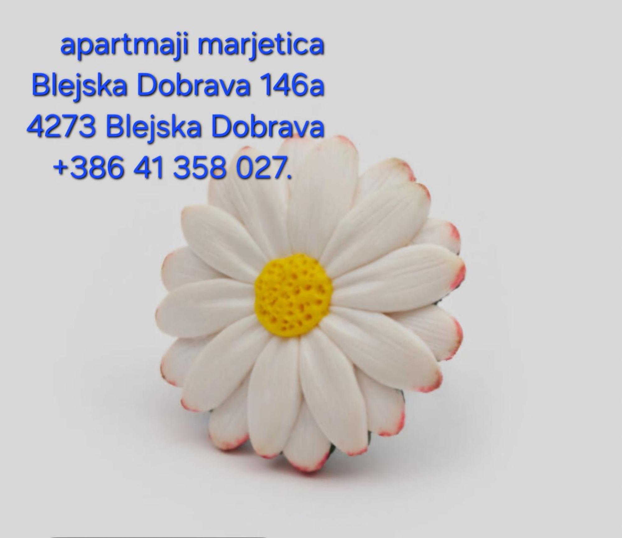 马杰蒂卡公寓 Blejska Dobrava 外观 照片
